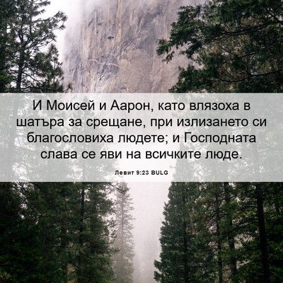 Picture 06 - Левит 9:23 BULG - И Моисей и Аарон, като - Bible Verse Picture