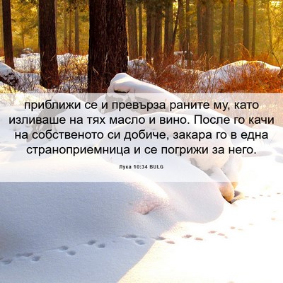 Picture 06 - Лука 10:34 BULG - приближи се и превърза - Bible Verse Picture