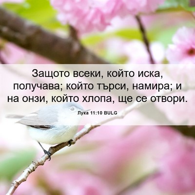 Picture 06 - Лука 11:10 BULG - Защото всеки, който иска, - Bible Verse Picture