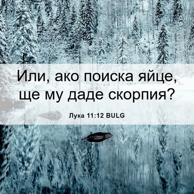 Picture 06 - Лука 11:12 BULG - Или, ако поиска яйце, ще му - Bible Verse Picture