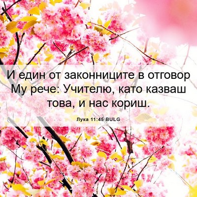 Picture 06 - Лука 11:45 BULG - И един от законниците в - Bible Verse Picture