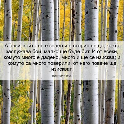 Picture 06 - Лука 12:48 BULG - А онзи, който не е знаел и е - Bible Verse Picture