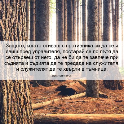 Picture 06 - Лука 12:58 BULG - Защото, когато отиваш с - Bible Verse Picture