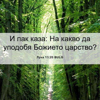 Picture 06 - Лука 13:20 BULG - И пак каза: На какво да - Bible Verse Picture