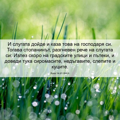 Picture 06 - Лука 14:21 BULG - И слугата дойде и каза това - Bible Verse Picture