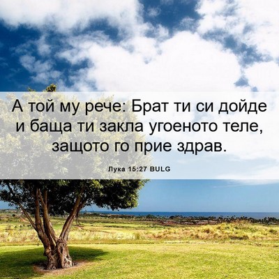 Picture 06 - Лука 15:27 BULG - А той му рече: Брат ти си - Bible Verse Picture