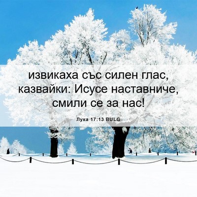 Picture 06 - Лука 17:13 BULG - извикаха със силен глас, - Bible Verse Picture