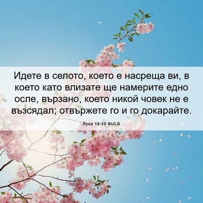 Picture 06 - Лука 19:30 BULG - Идете в селото, което е - Bible Verse Picture