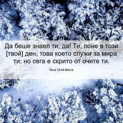 Picture 06 - Лука 19:42 BULG - Да беше знаел ти, да! Ти, - Bible Verse Picture