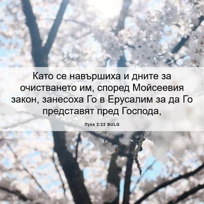 Picture 06 - Лука 2:22 BULG - Като се навършиха и дните - Bible Verse Picture