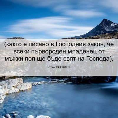 Picture 06 - Лука 2:23 BULG - (както е писано в Господния - Bible Verse Picture