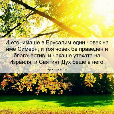 Picture 06 - Лука 2:25 BULG - И ето, имаше в Ерусалим - Bible Verse Picture