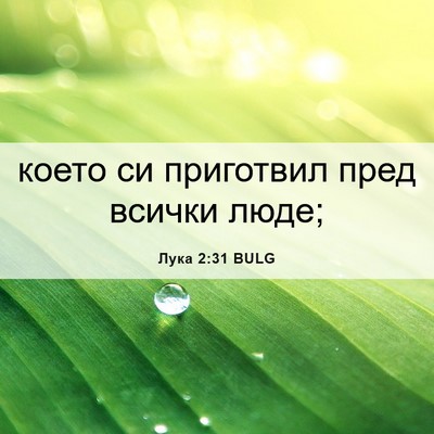 Picture 06 - Лука 2:31 BULG - което си приготвил пред - Bible Verse Picture