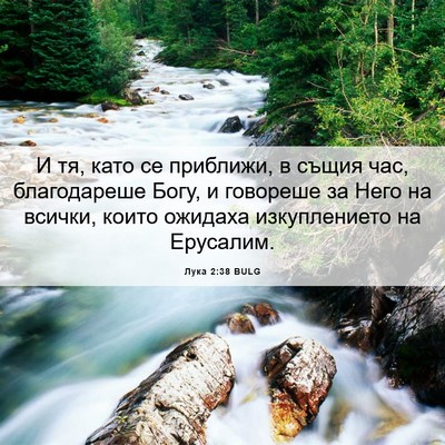 Picture 06 - Лука 2:38 BULG - И тя, като се приближи, в - Bible Verse Picture