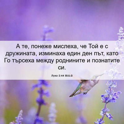 Picture 06 - Лука 2:44 BULG - А те, понеже мислеха, че Той - Bible Verse Picture