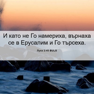 Picture 06 - Лука 2:45 BULG - И като не Го намериха, - Bible Verse Picture