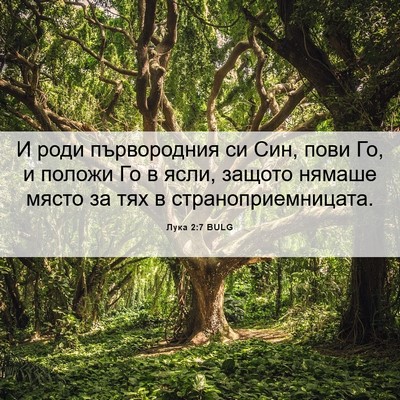 Picture 06 - Лука 2:7 BULG - И роди първородния си Син, - Bible Verse Picture