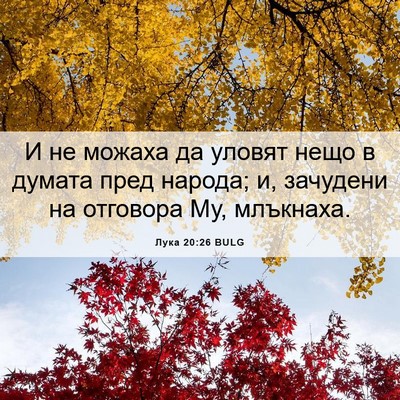 Picture 06 - Лука 20:26 BULG - И не можаха да уловят нещо - Bible Verse Picture