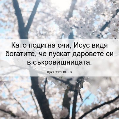 Picture 06 - Лука 21:1 BULG - Като подигна очи, Исус видя - Bible Verse Picture