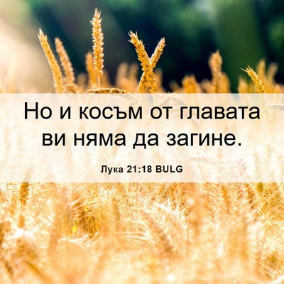 Picture 06 - Лука 21:18 BULG - Но и косъм от главата ви - Bible Verse Picture