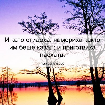 Picture 06 - Лука 22:13 BULG - И като отидоха, намериха - Bible Verse Picture