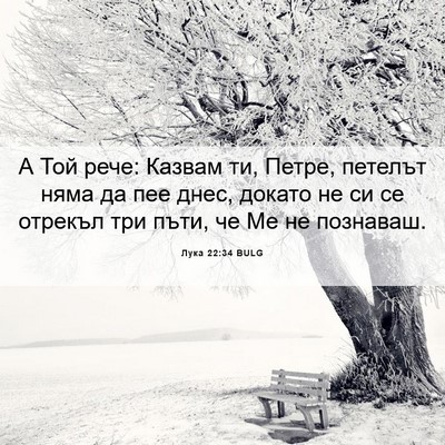 Picture 06 - Лука 22:34 BULG - А Той рече: Казвам ти, - Bible Verse Picture
