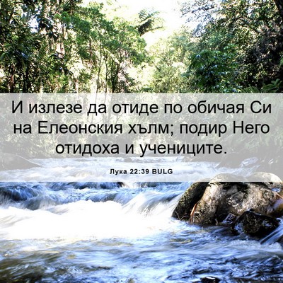Picture 06 - Лука 22:39 BULG - И излезе да отиде по обичая - Bible Verse Picture