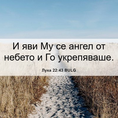 Picture 06 - Лука 22:43 BULG - И яви Му се ангел от небето - Bible Verse Picture