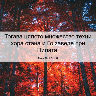Picture 06 - Лука 23:1 BULG - Тогава цялото множество - Bible Verse Picture
