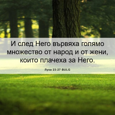 Picture 06 - Лука 23:27 BULG - И след Него вървяха голямо - Bible Verse Picture