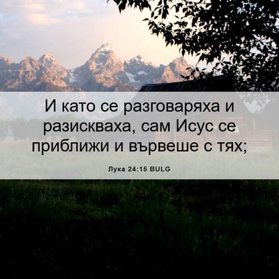 Picture 06 - Лука 24:15 BULG - И като се разговаряха и - Bible Verse Picture
