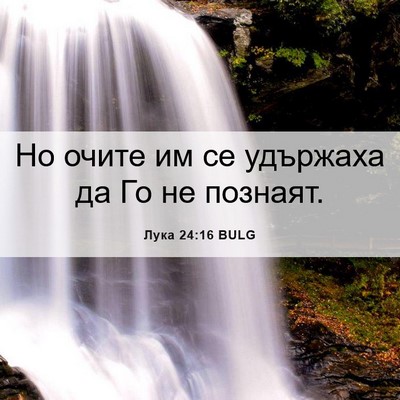 Picture 06 - Лука 24:16 BULG - Но очите им се удържаха да - Bible Verse Picture