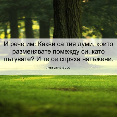 Picture 06 - Лука 24:17 BULG - И рече им: Какви са тия - Bible Verse Picture