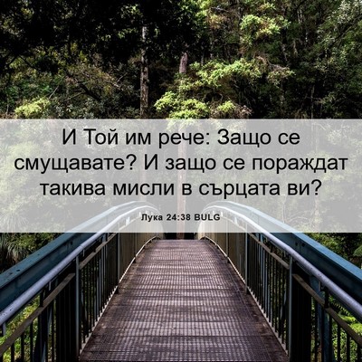 Picture 06 - Лука 24:38 BULG - И Той им рече: Защо се - Bible Verse Picture
