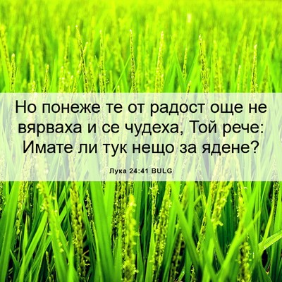 Picture 06 - Лука 24:41 BULG - Но понеже те от радост още - Bible Verse Picture