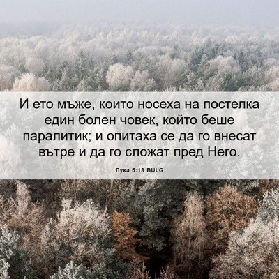 Picture 06 - Лука 5:18 BULG - И ето мъже, които носеха на - Bible Verse Picture