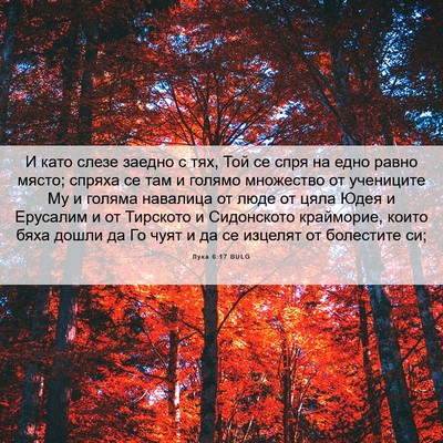 Picture 06 - Лука 6:17 BULG - И като слезе заедно с тях, - Bible Verse Picture