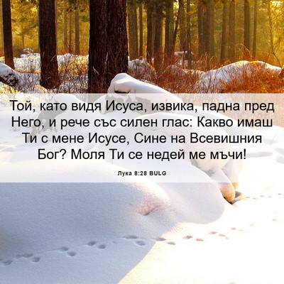 Picture 06 - Лука 8:28 BULG - Той, като видя Исуса, - Bible Verse Picture