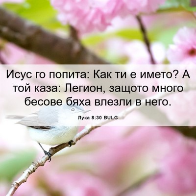 Picture 06 - Лука 8:30 BULG - Исус го попита: Как ти е - Bible Verse Picture