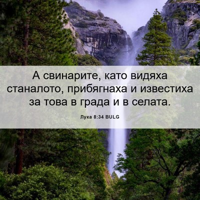 Picture 06 - Лука 8:34 BULG - А свинарите, като видяха - Bible Verse Picture