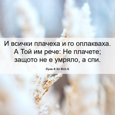 Picture 06 - Лука 8:52 BULG - И всички плачеха и го - Bible Verse Picture