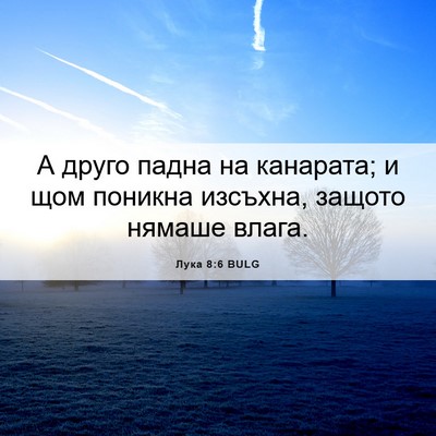 Picture 06 - Лука 8:6 BULG - А друго падна на канарата; - Bible Verse Picture