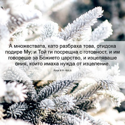 Picture 06 - Лука 9:11 BULG - А множествата, като - Bible Verse Picture
