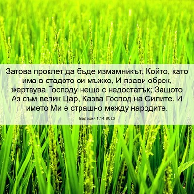 Picture 06 - Малахия 1:14 BULG - Затова проклет да бъде - Bible Verse Picture