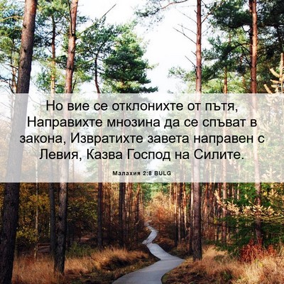 Picture 06 - Малахия 2:8 BULG - Но вие се отклонихте от - Bible Verse Picture