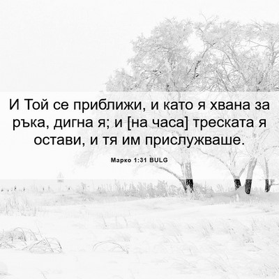 Picture 06 - Марко 1:31 BULG - И Той се приближи, и като я - Bible Verse Picture
