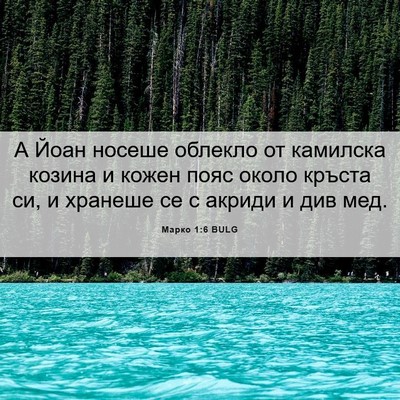 Picture 06 - Марко 1:6 BULG - А Йоан носеше облекло от - Bible Verse Picture