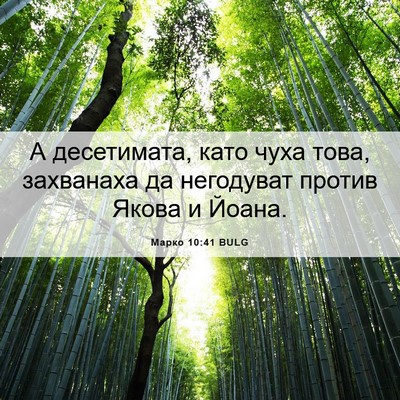 Picture 06 - Марко 10:41 BULG - А десетимата, като чуха - Bible Verse Picture