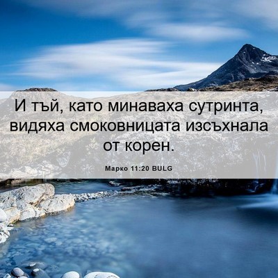 Picture 06 - Марко 11:20 BULG - И тъй, като минаваха - Bible Verse Picture