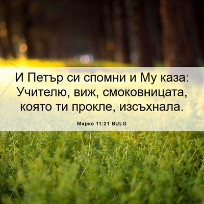 Picture 06 - Марко 11:21 BULG - И Петър си спомни и Му каза: - Bible Verse Picture